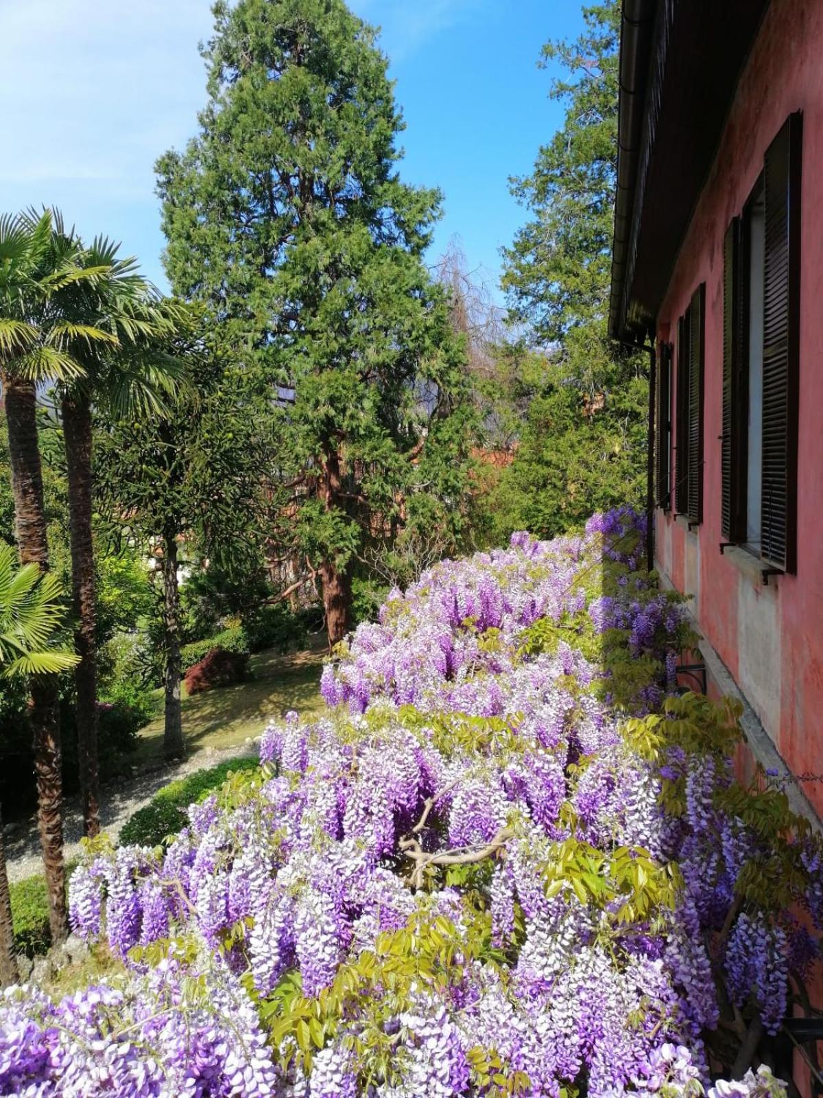Вилла Casa Della Gioia Castelveccana Номер фото